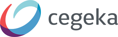 System Engineer